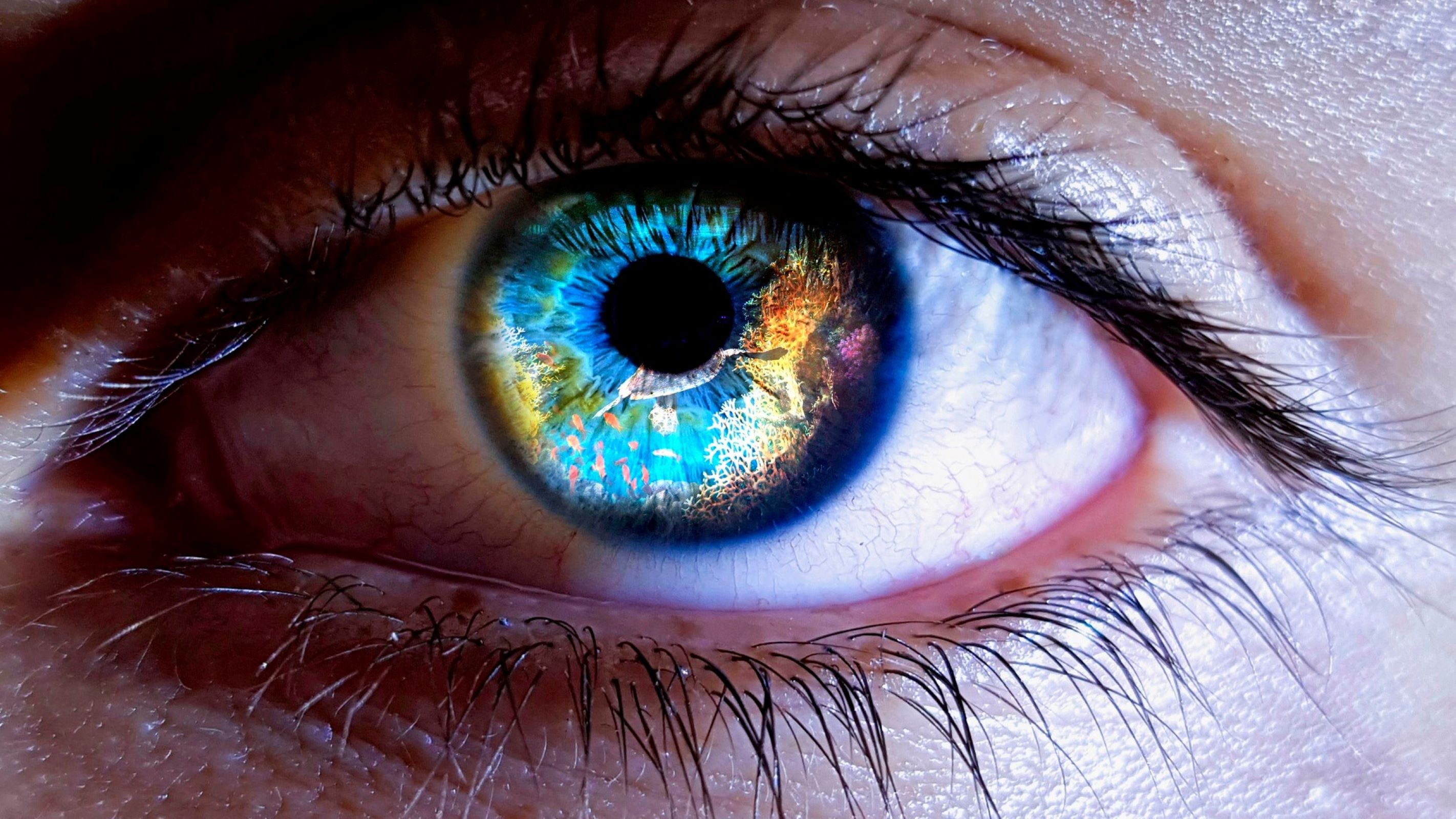 4 причины, почему у человека может измениться цвет глаз