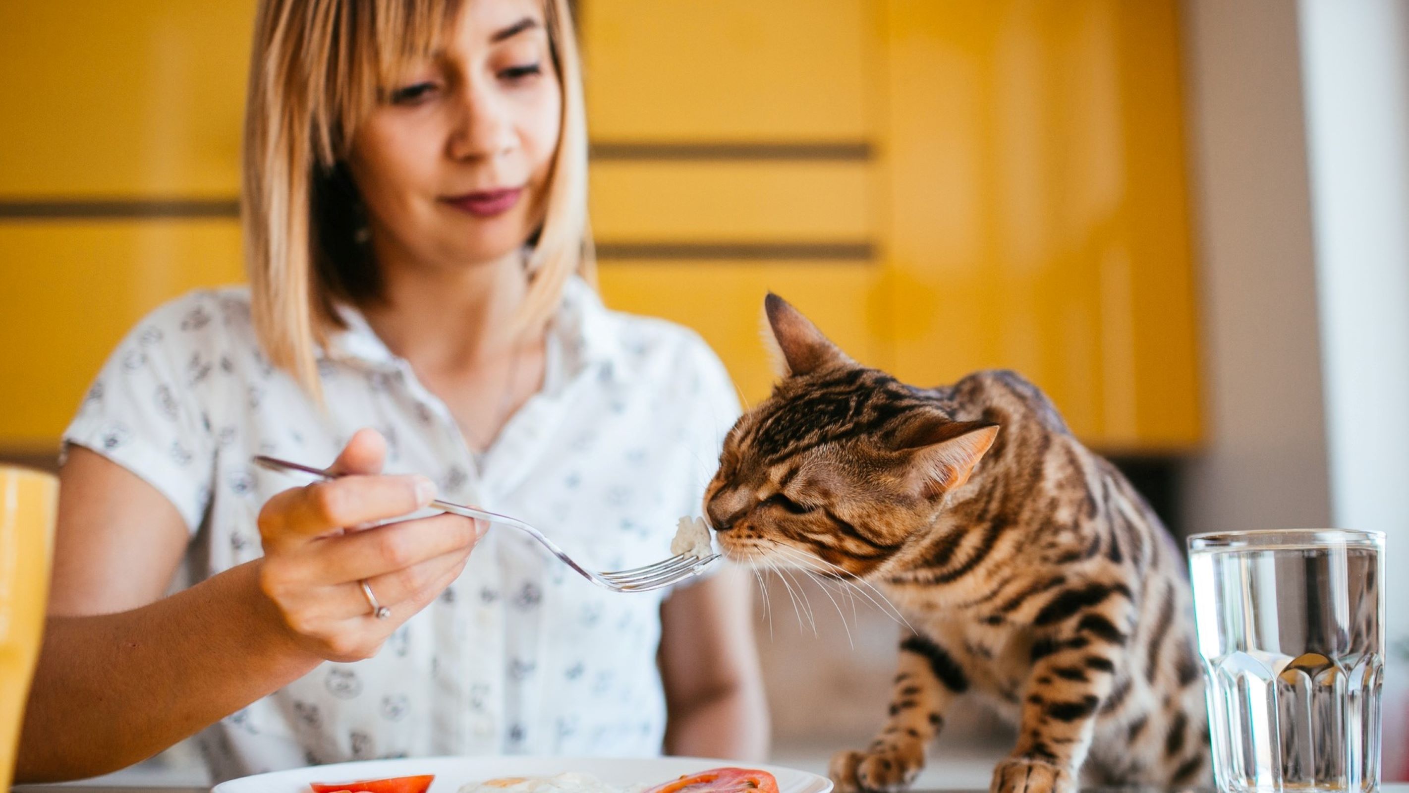 8 ошибок на кухне, которые могут стоить вам здоровья – их совершает ...