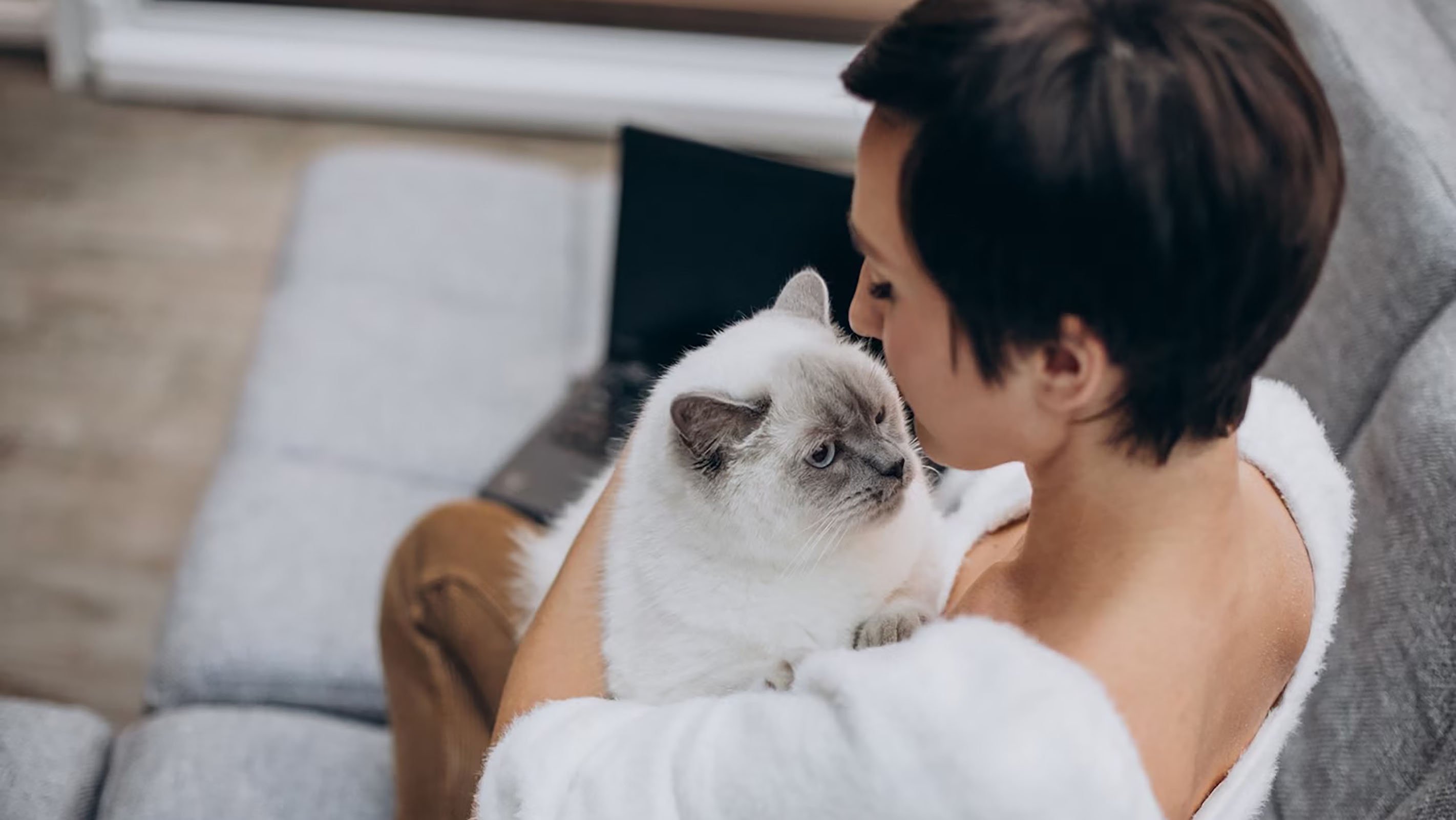 «Снимаю квартиру для кота, потому что у мужа на него аллергия»