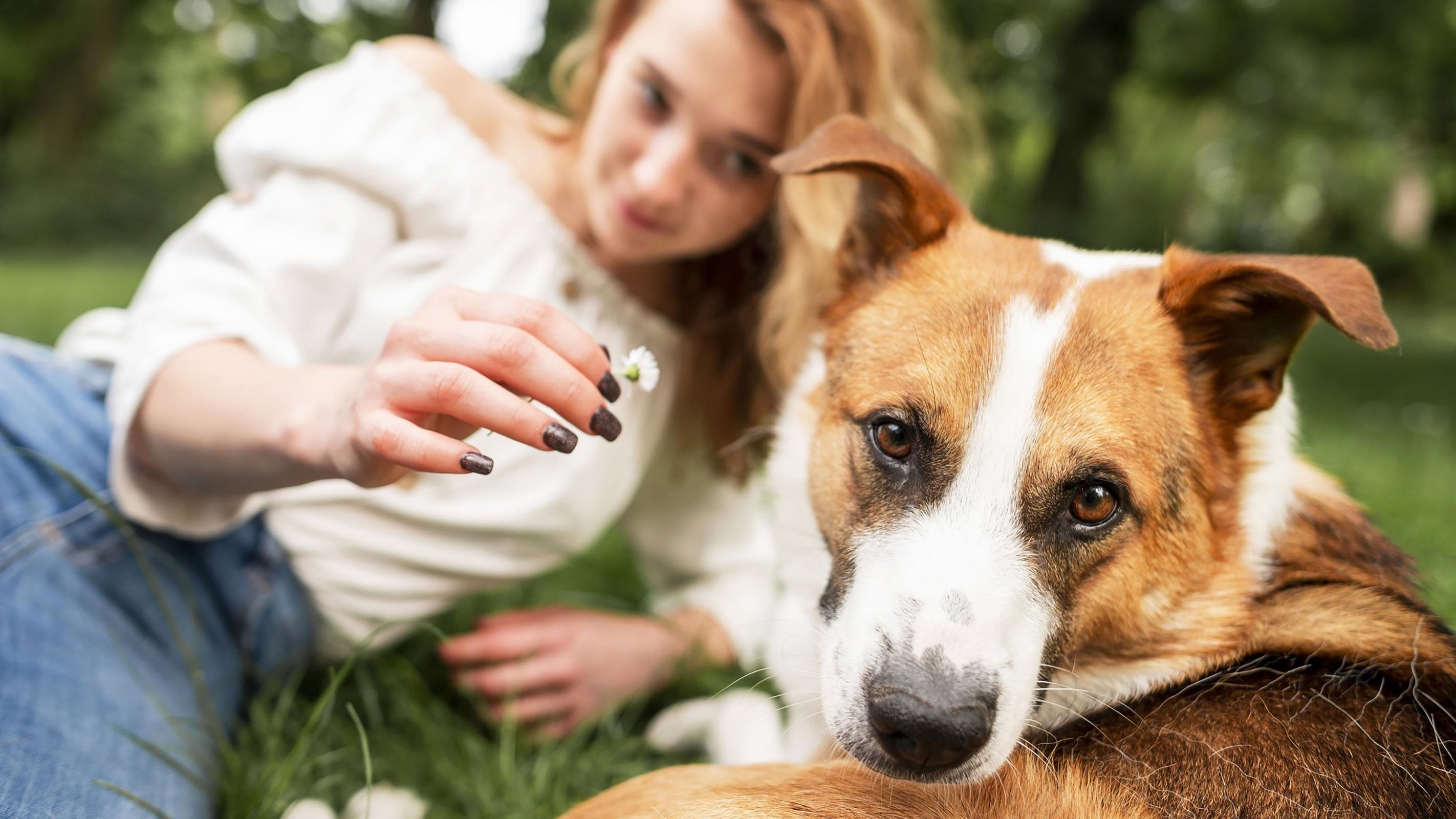 Как защитить собаку или кошку от клещей весной